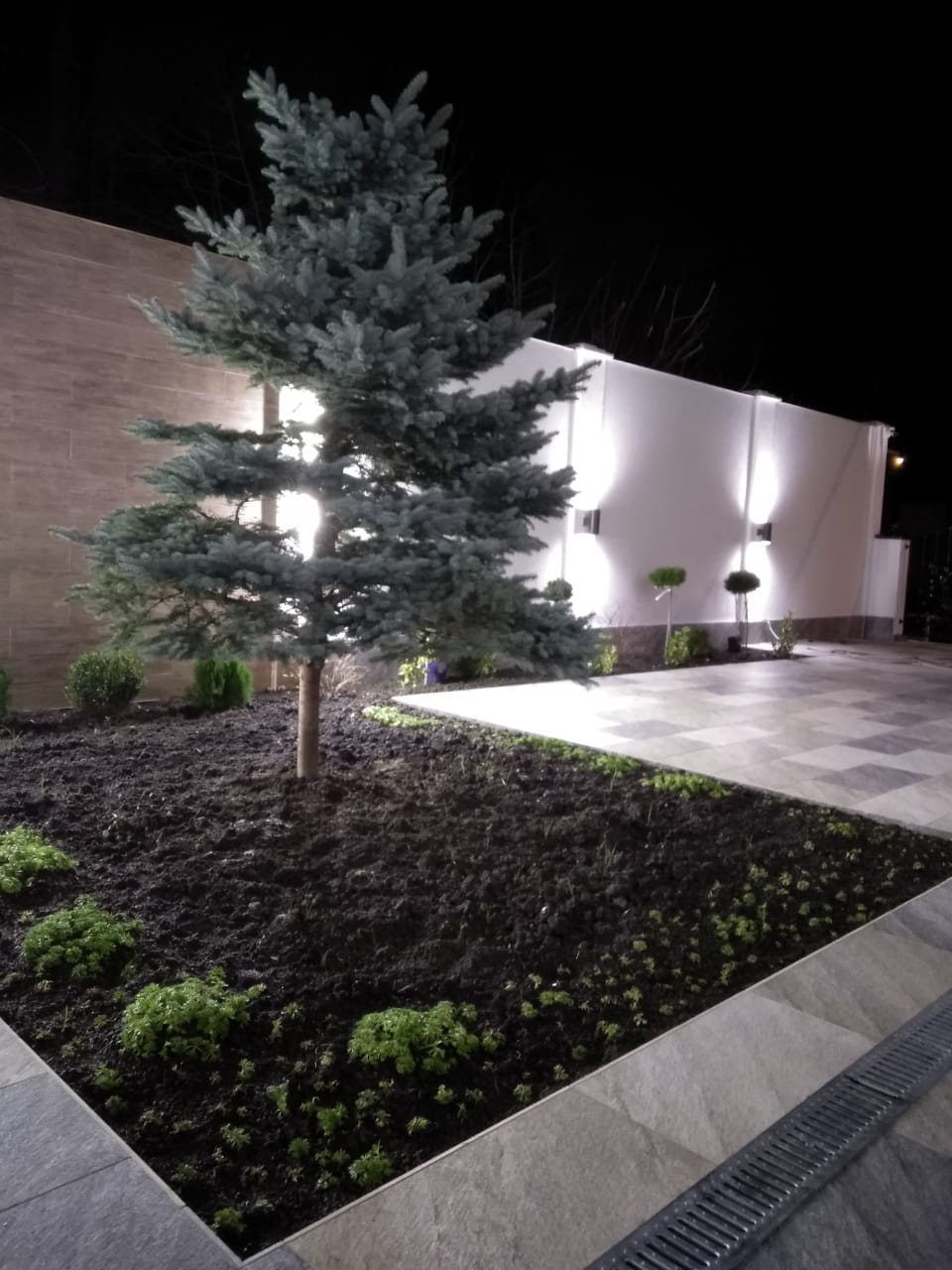 Фото Blue Marine