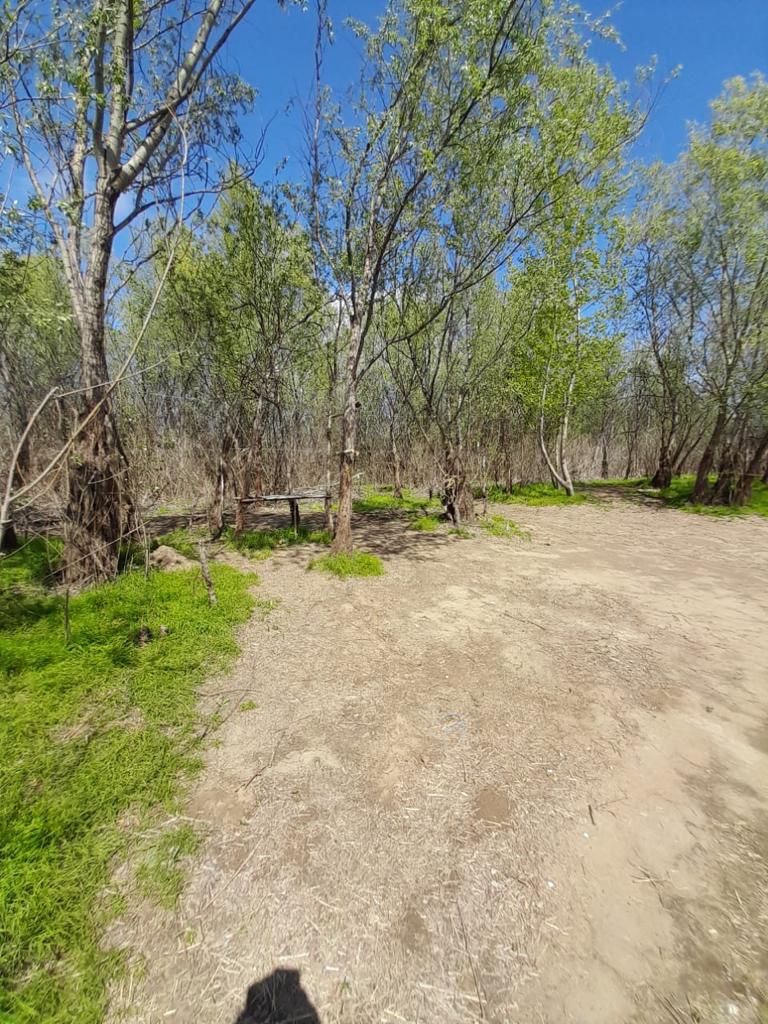 Фото База Звезда