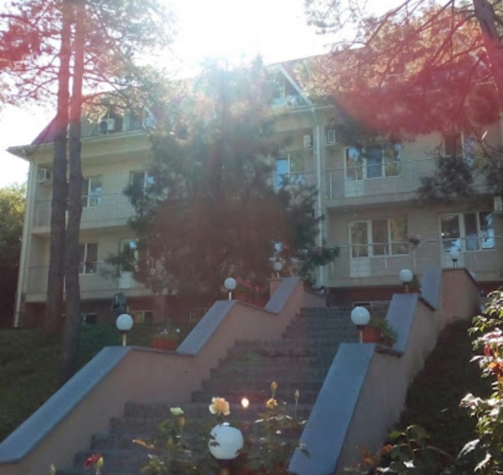 Фото Берёзка