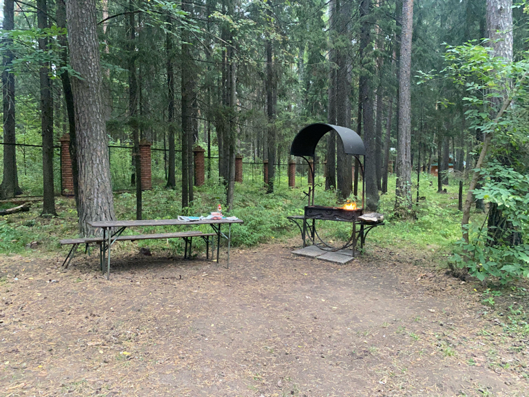 Фото Тихий Лес