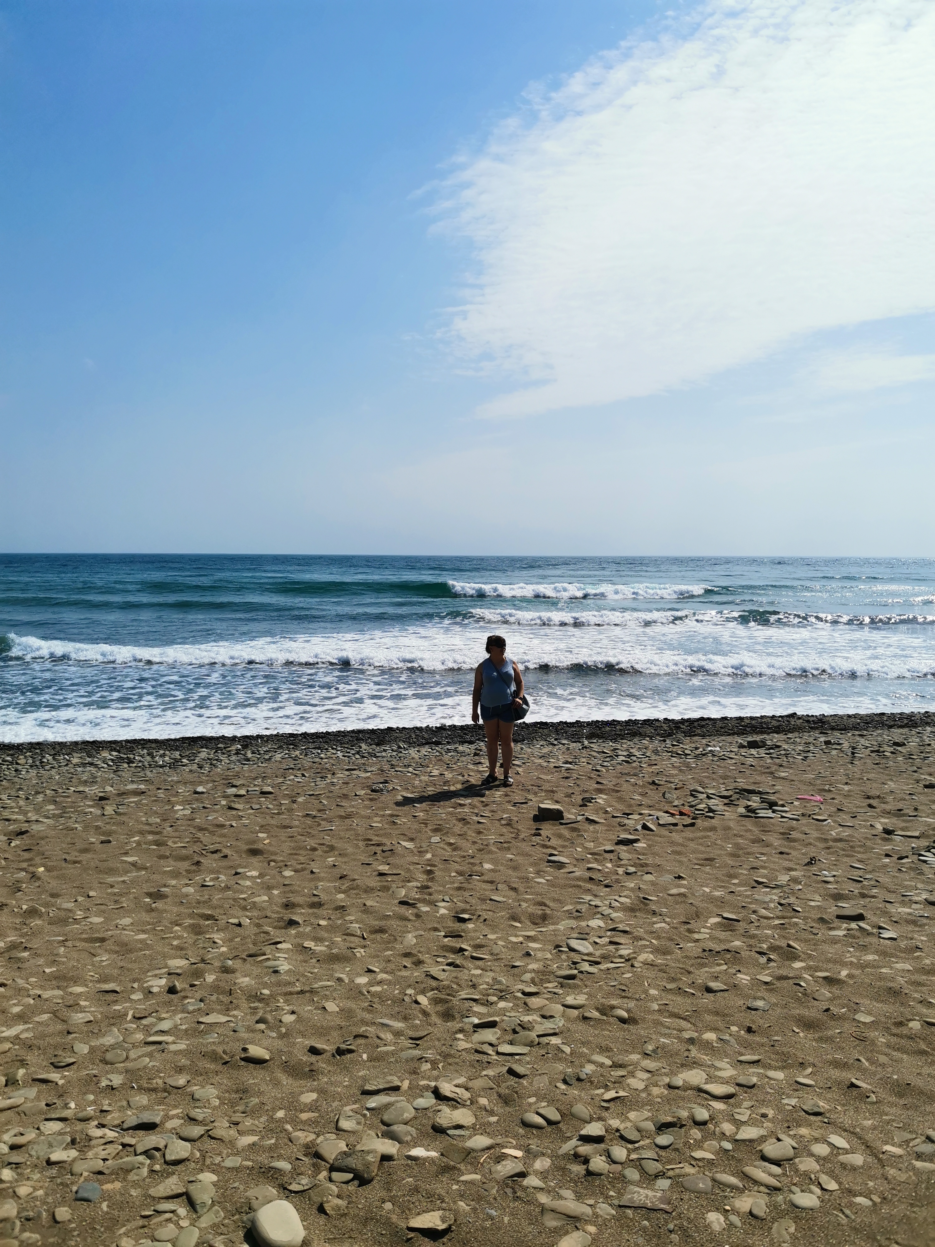 Фото Кипарис