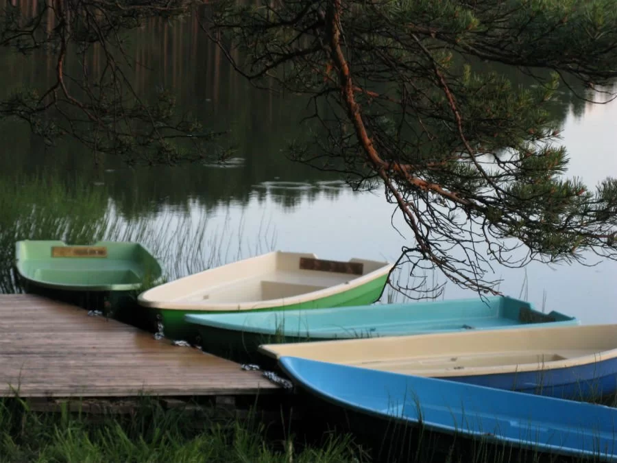 Фото Светофор