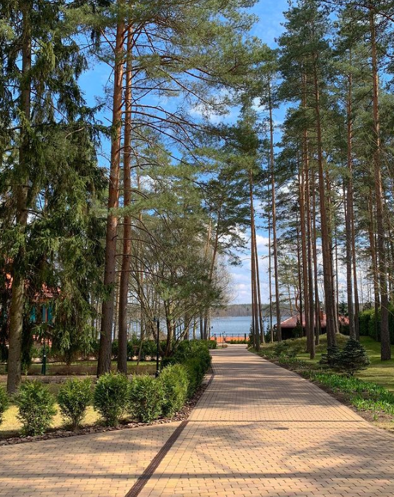 Фото Красный Бор