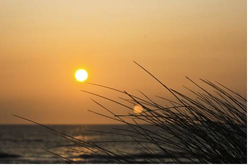 Фото Flair Rooms