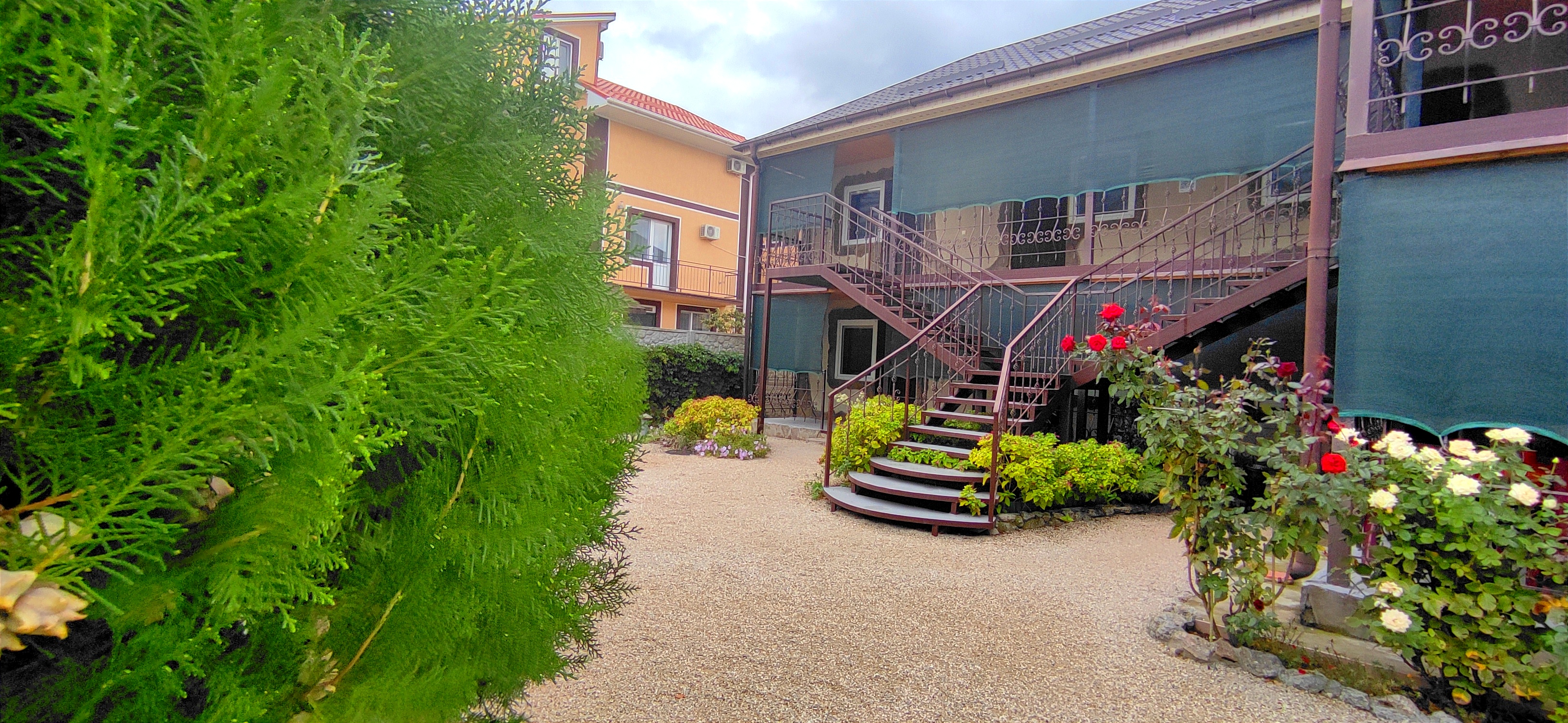 Фото Белый парус