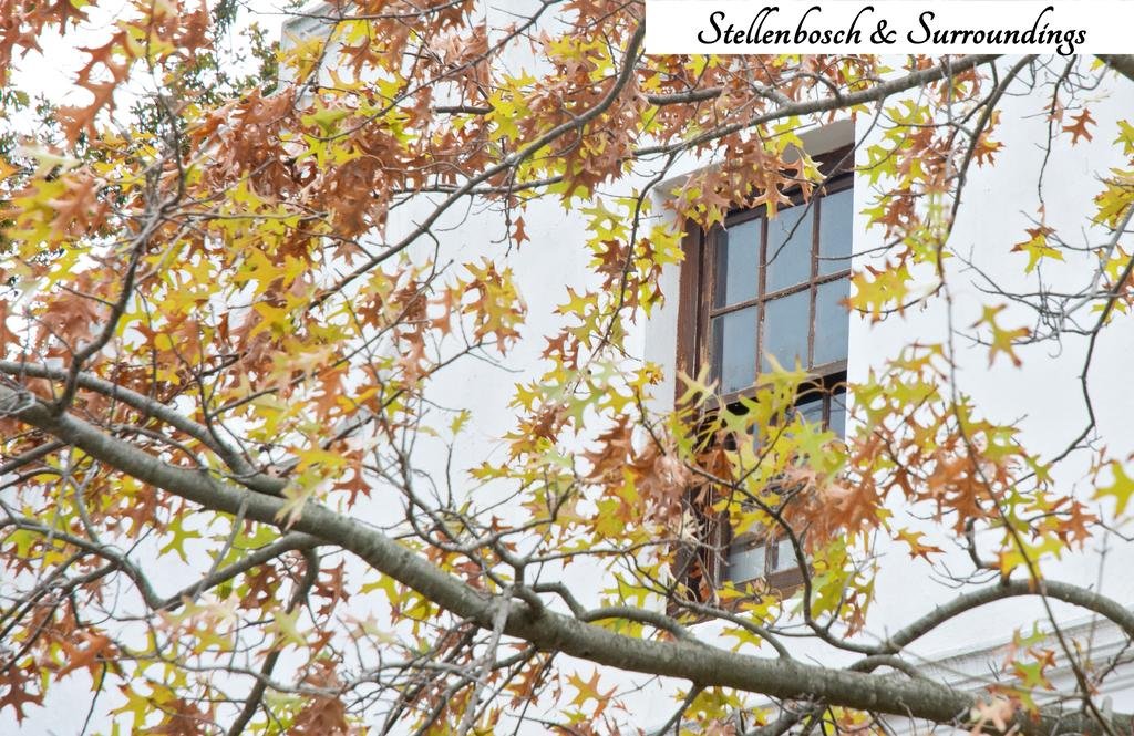 Фото Avemore Vredehof № 1