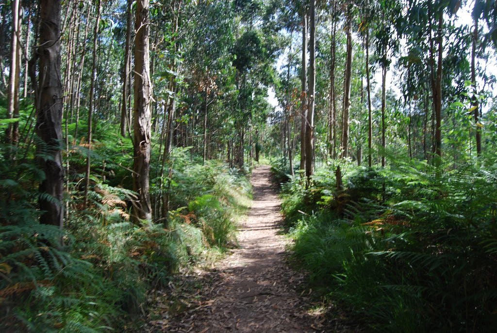 Фото Hotel Monte y Mar