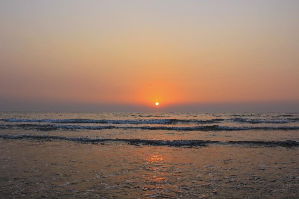 Фото Shivalay Cottages