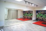 Wild Dance Academy (просп. Ленина, 95И, Новороссийск), школа танцев в Новороссийске