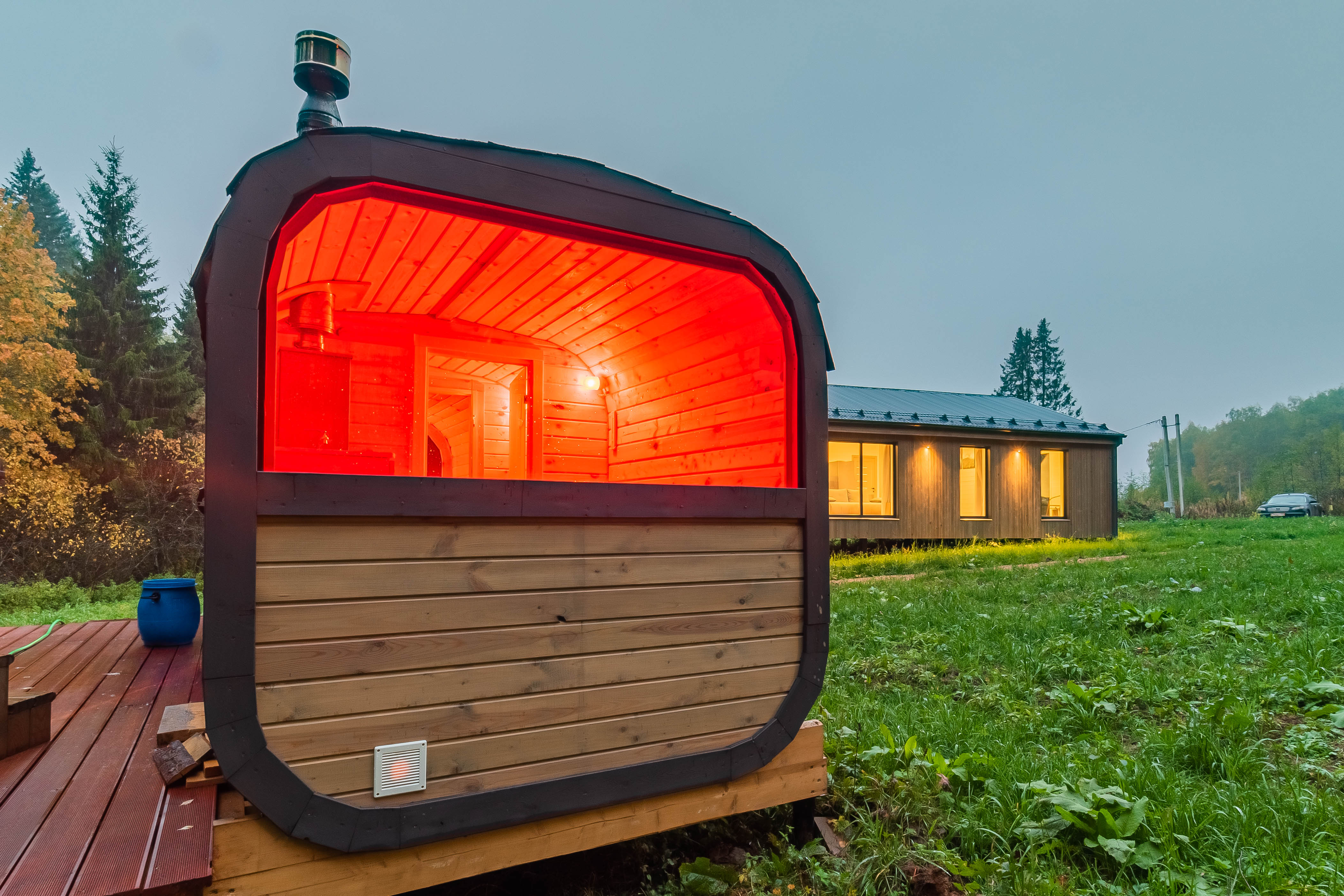 Фото Pine Forest