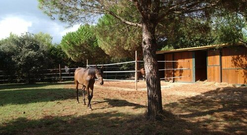 Гостиница Agriturismo Il Venticello
