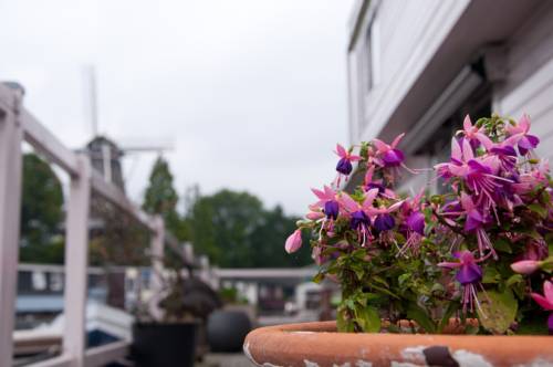 Фото Minties, Floating Bed EN Breakfast