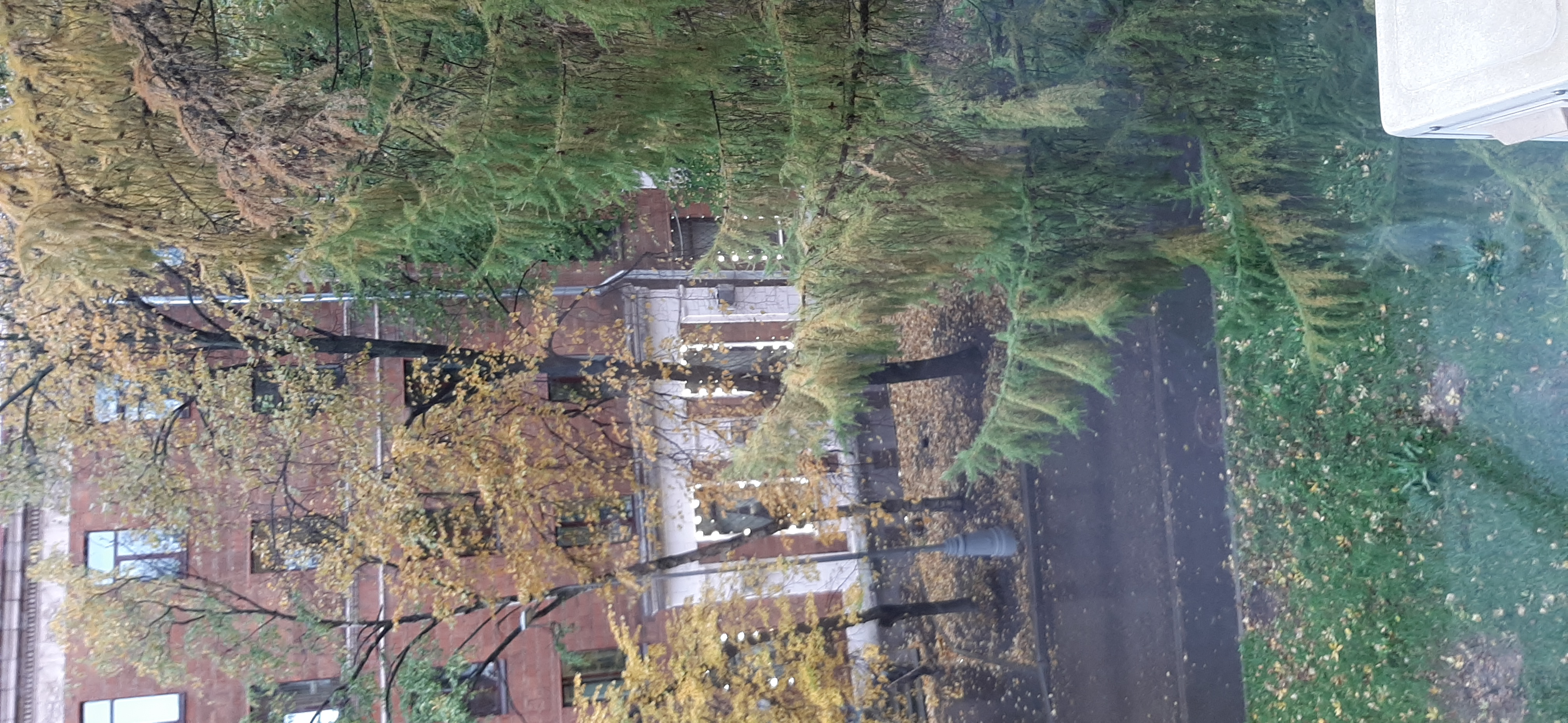 Фото Metro Rooms