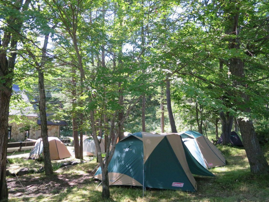 Фото 181965387168