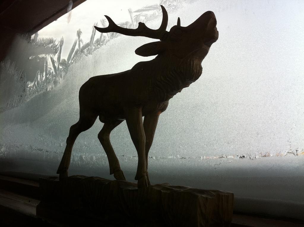 Фото Concordia Harzapart