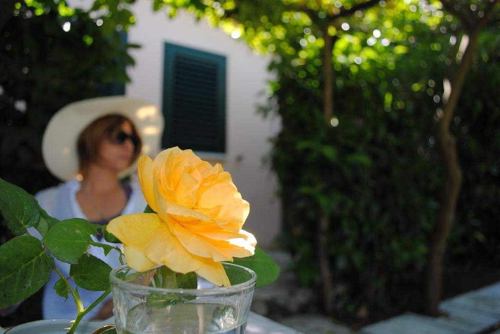 Фото Il Roseto B&b