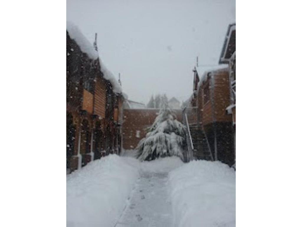 Фото Cabañas Tierra Mistica