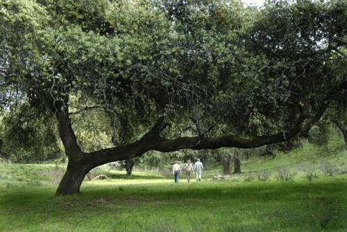 Фото Las Navezuelas