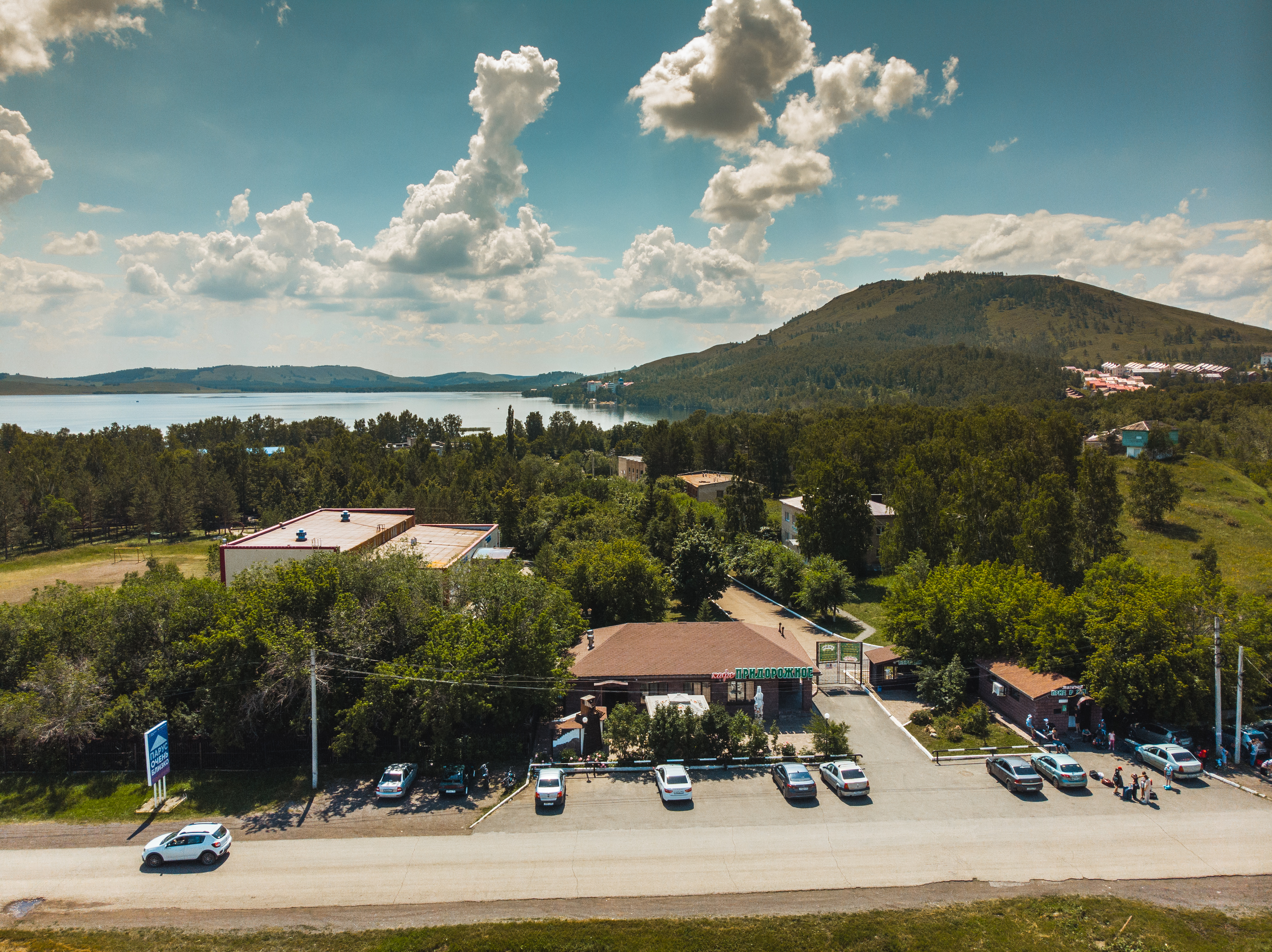 Фото Берёзки