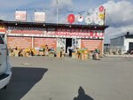 ТВ Сибирь (ulitsa Degtyaryova, 19к3), antennas