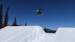 Ollie Snowboard Freestyle School (Mendeleyeva Street, 160), escuela deportiva