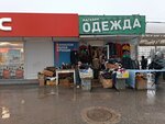 Одежда (50-Letiya Oktyabrya Street, 3Б) ، متجر ملابس