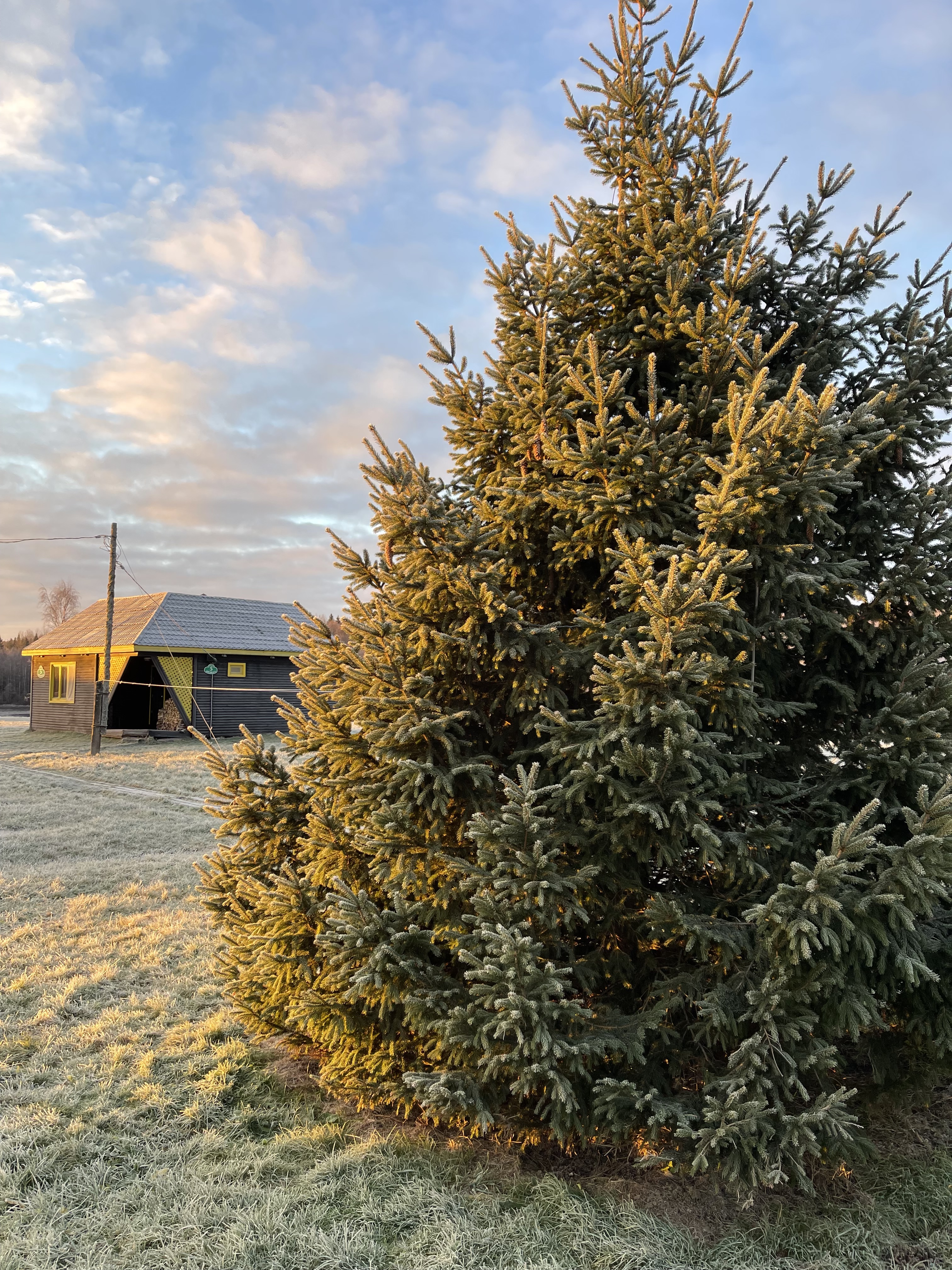 Фото Умосту