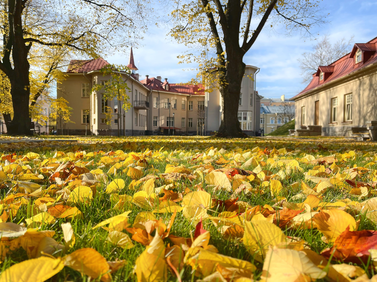Фото Усадьба адмирала Лазарева