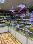 Kanctovary (ulitsa Vladimira Lenina, 94), stationery store