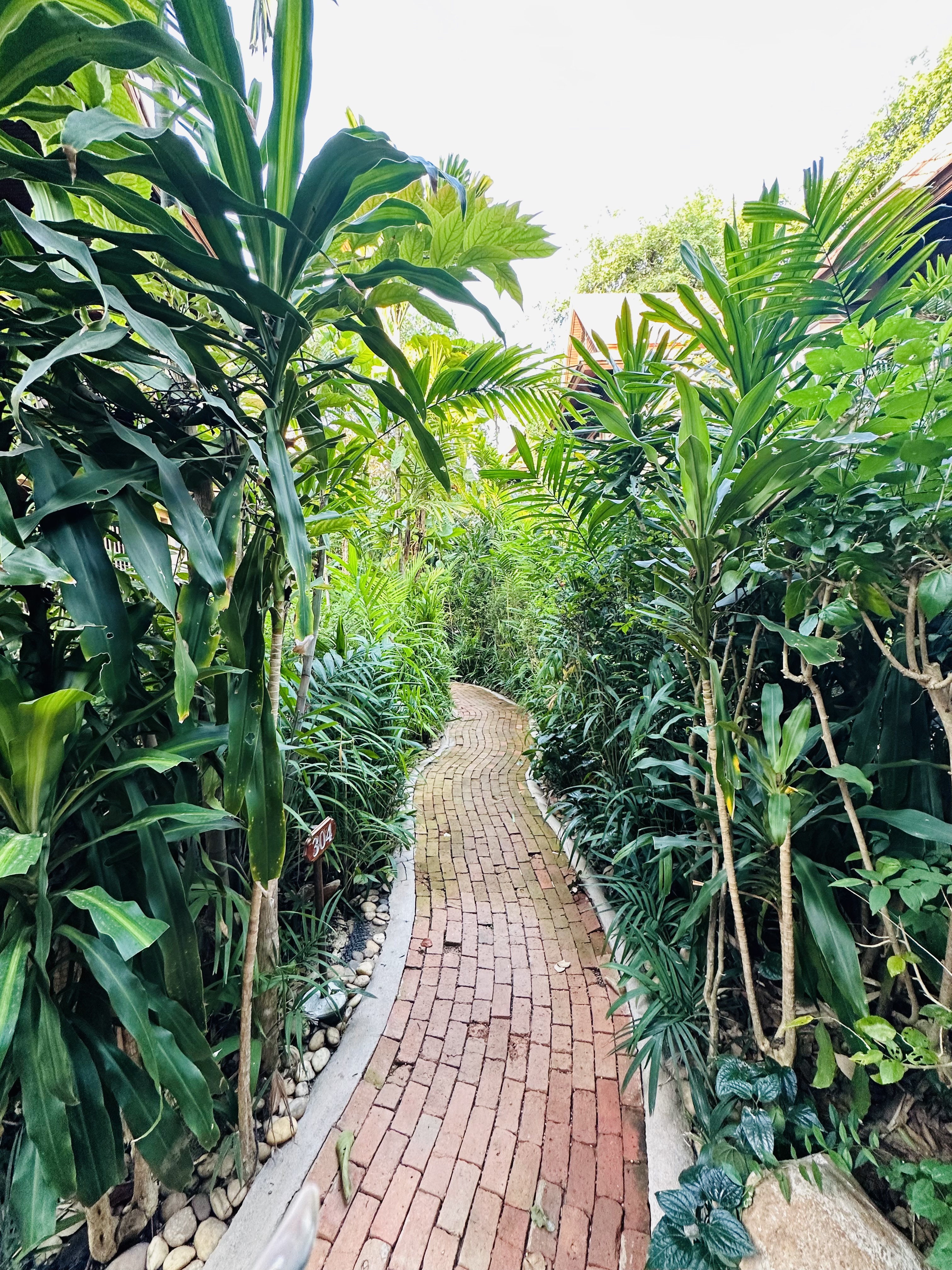 Фото Rabbit Resort Pattaya