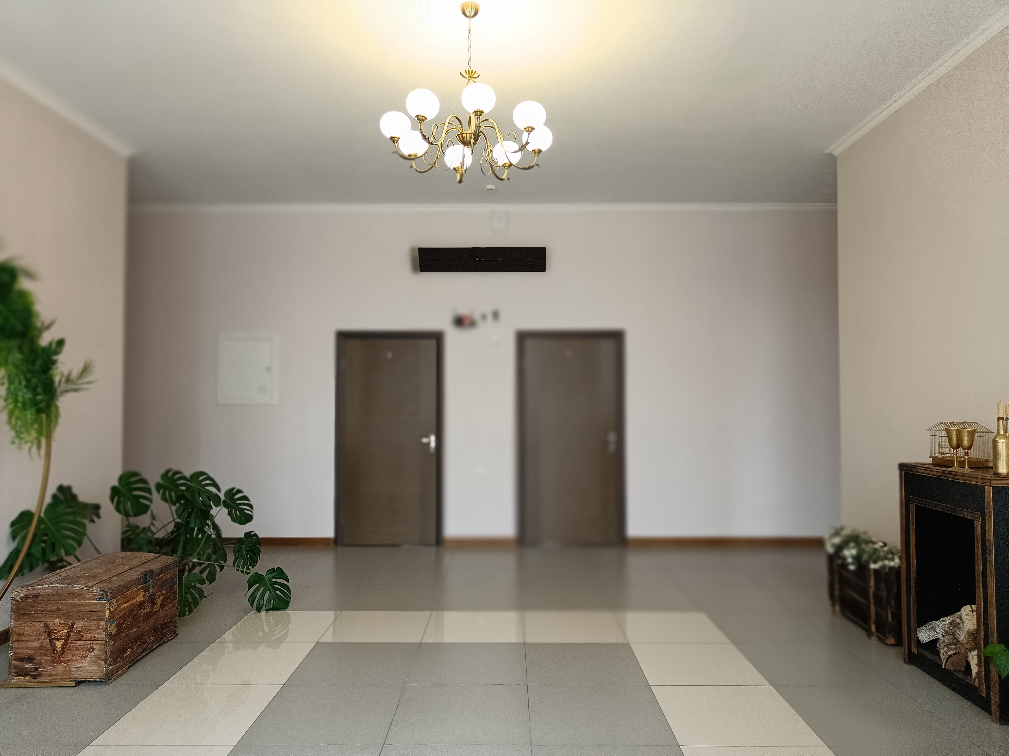 Фото Астерия