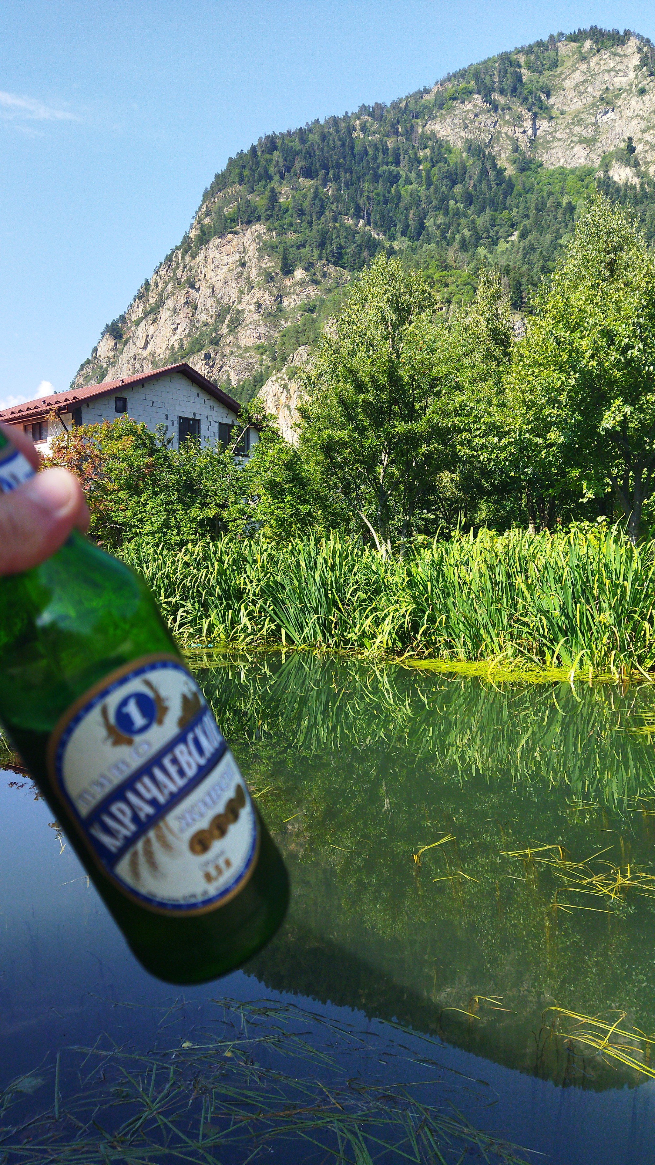 Фото Кипрей