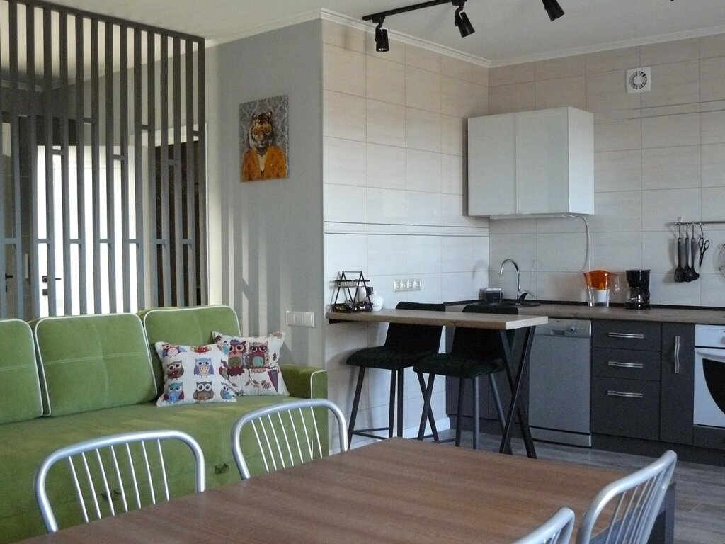 Short-term housing rental Рыжий Кот Дружный, Barnaul, photo