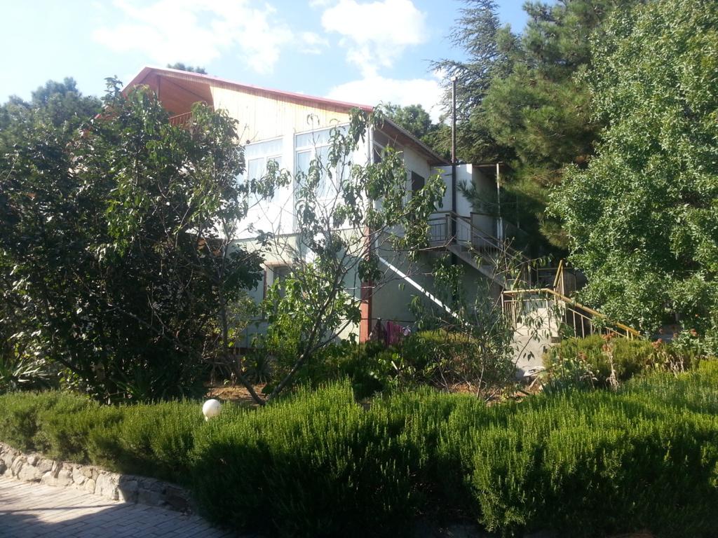 Фото Лесной уют