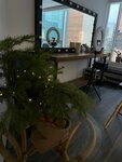 Толстая Бьюти (Zanevskiy Avenue, 67к2) ، صالون تجميل
