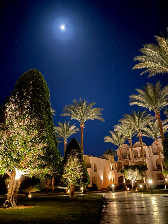 Фото Джаз Макадина