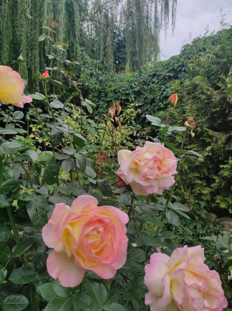 Фото Пролетарская улица 19