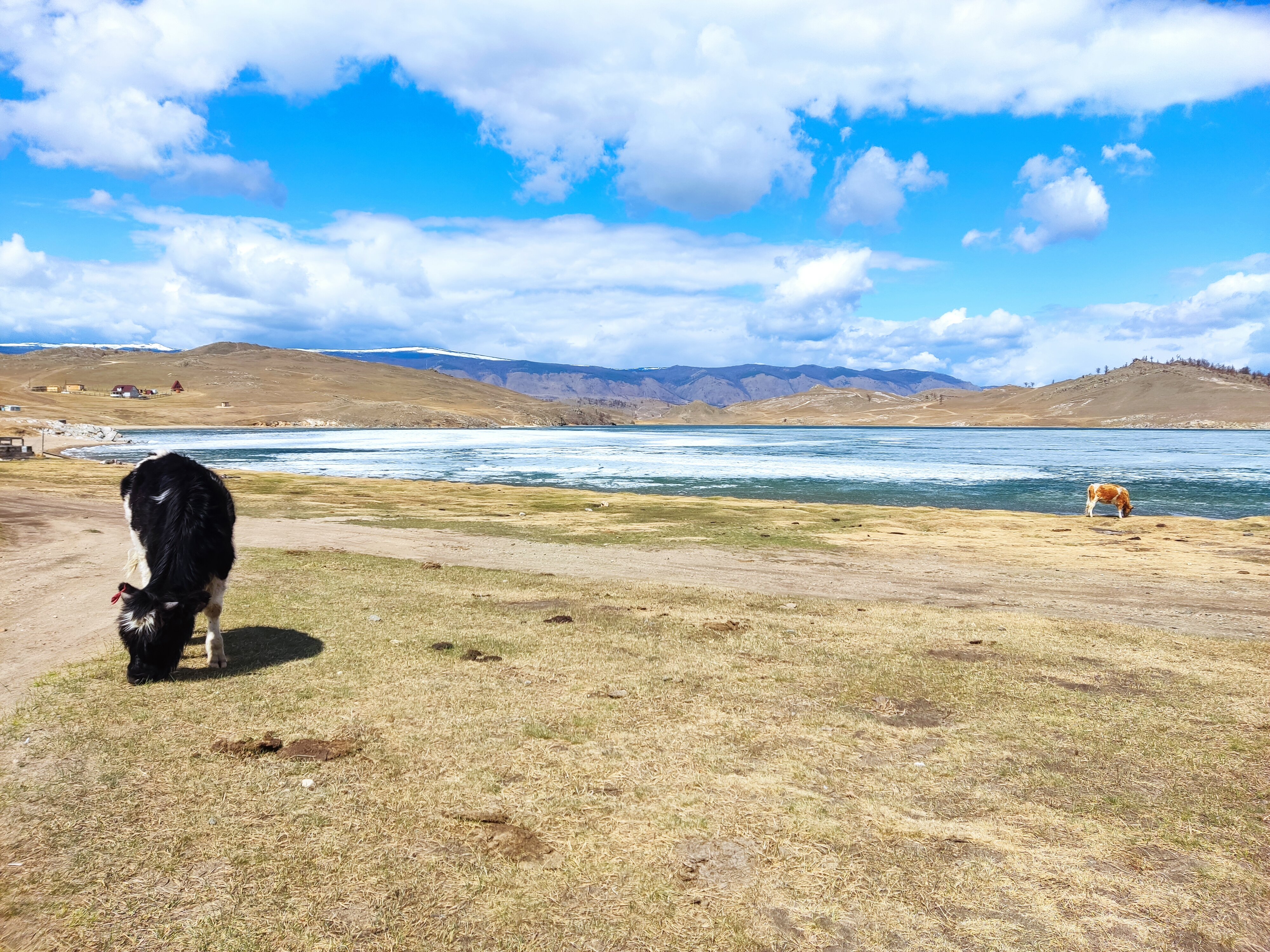 Фото Эльдорадо