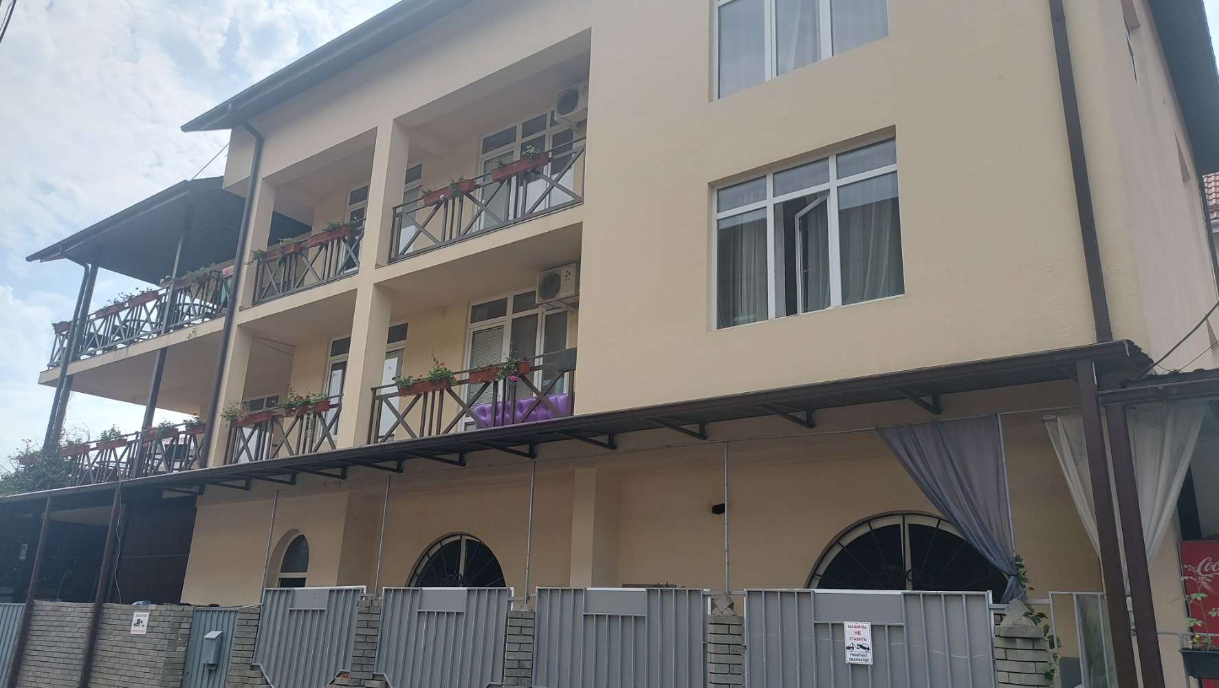 Фото Светлячок