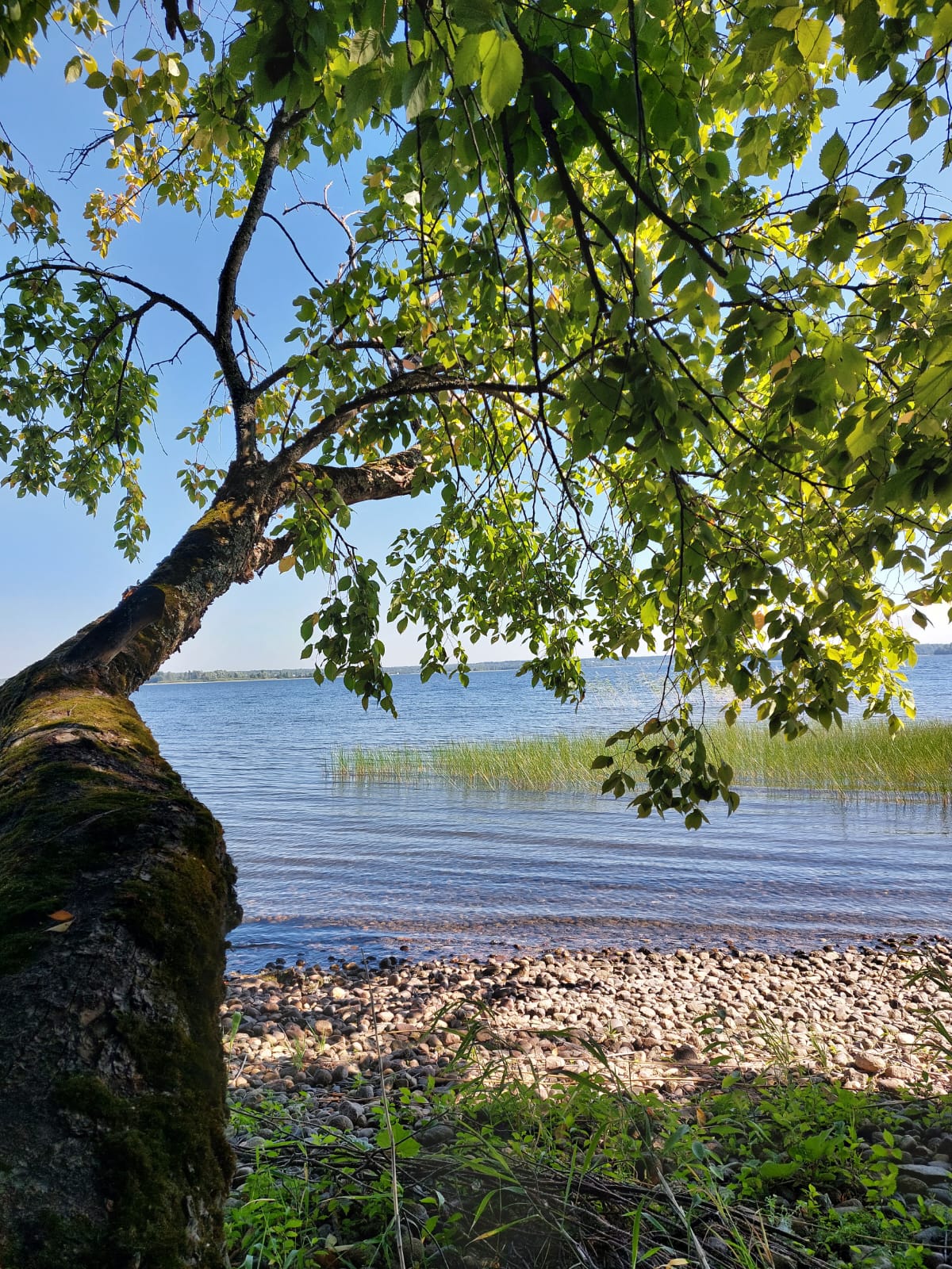 Фото Причал Надежды