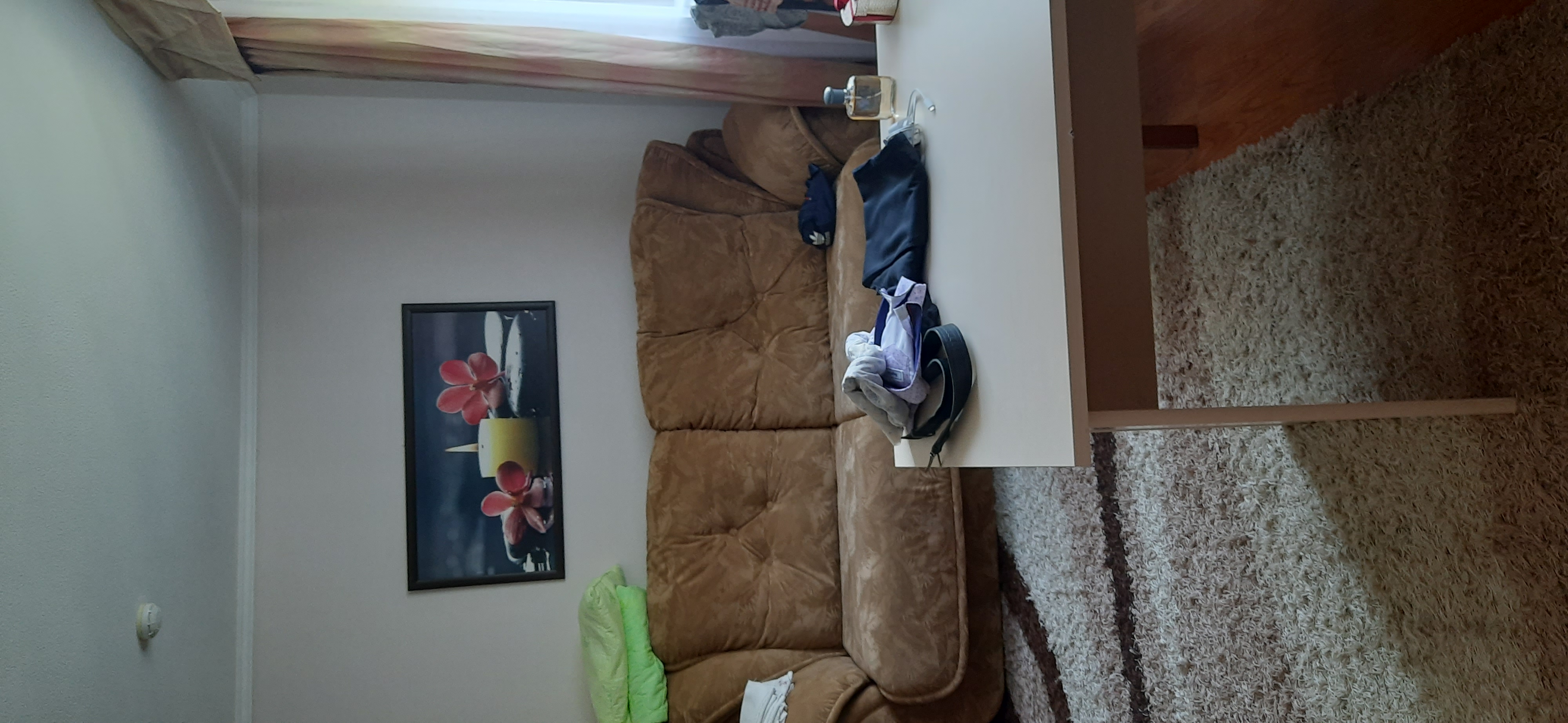 Фото Камелия