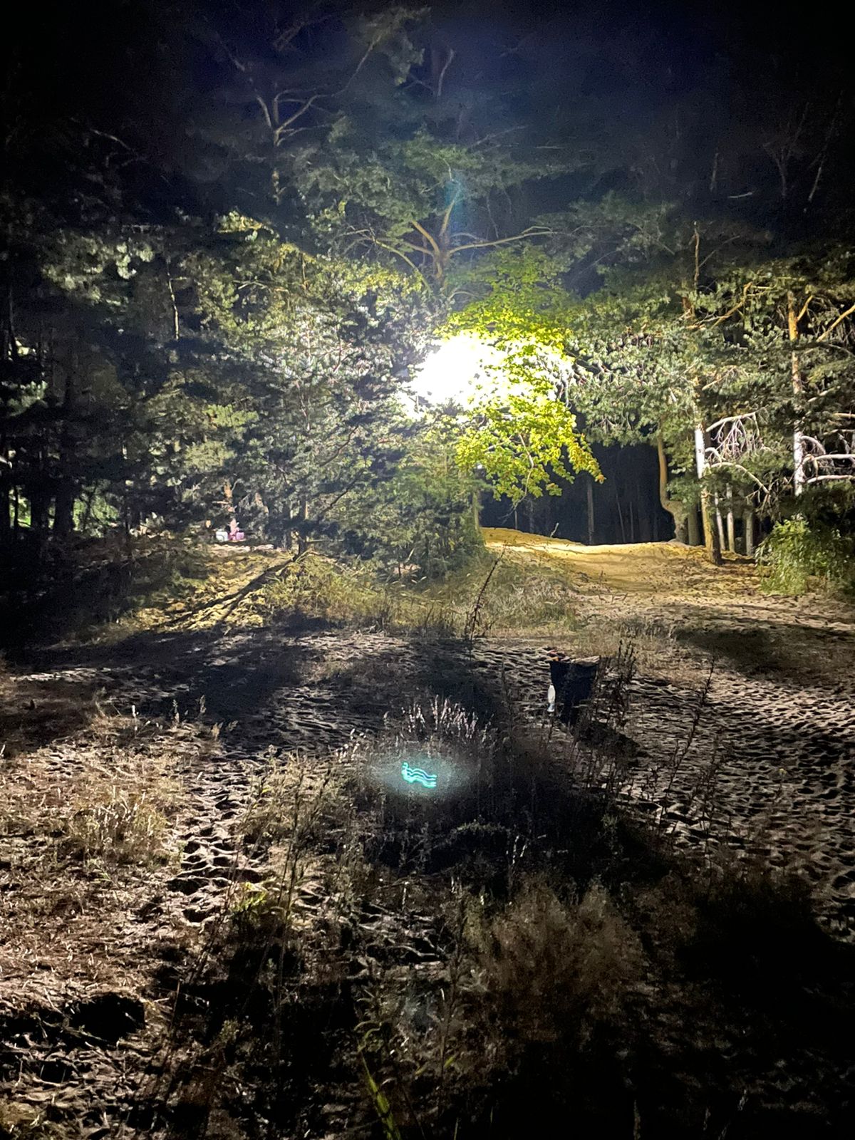 Фото База отдыха Яльчик