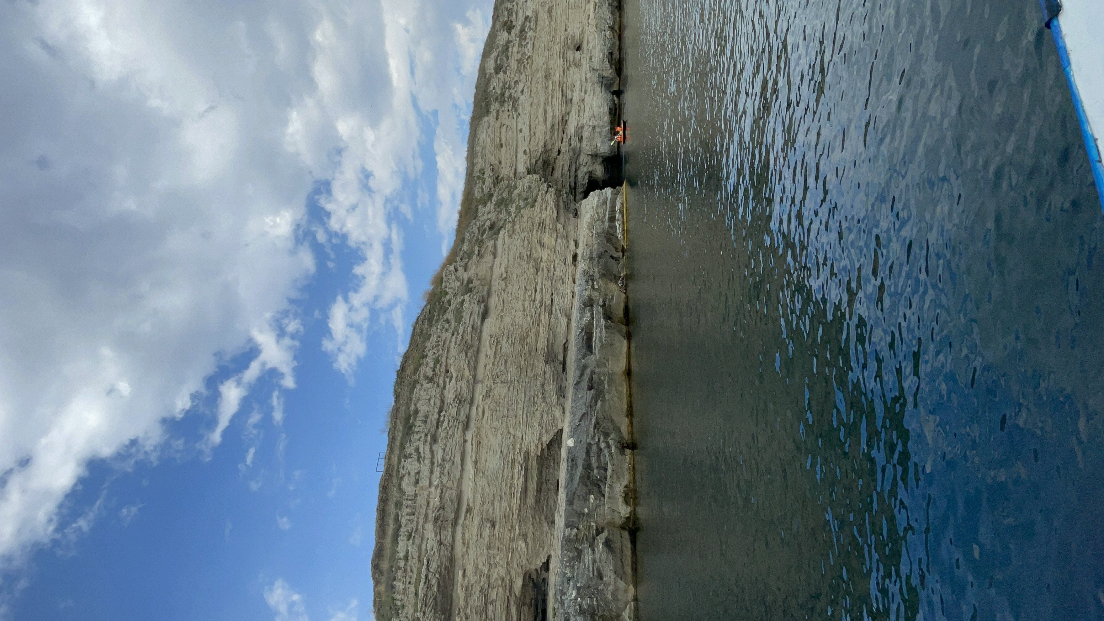 Фото Афалина