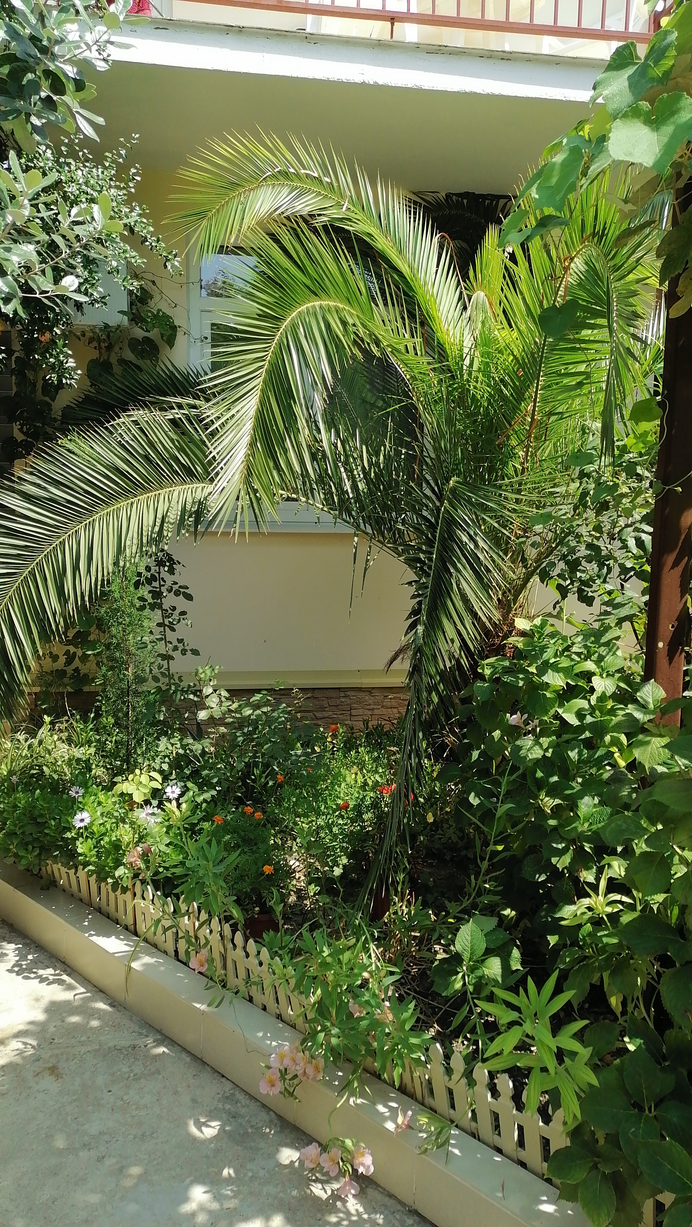 Фото Сабрина