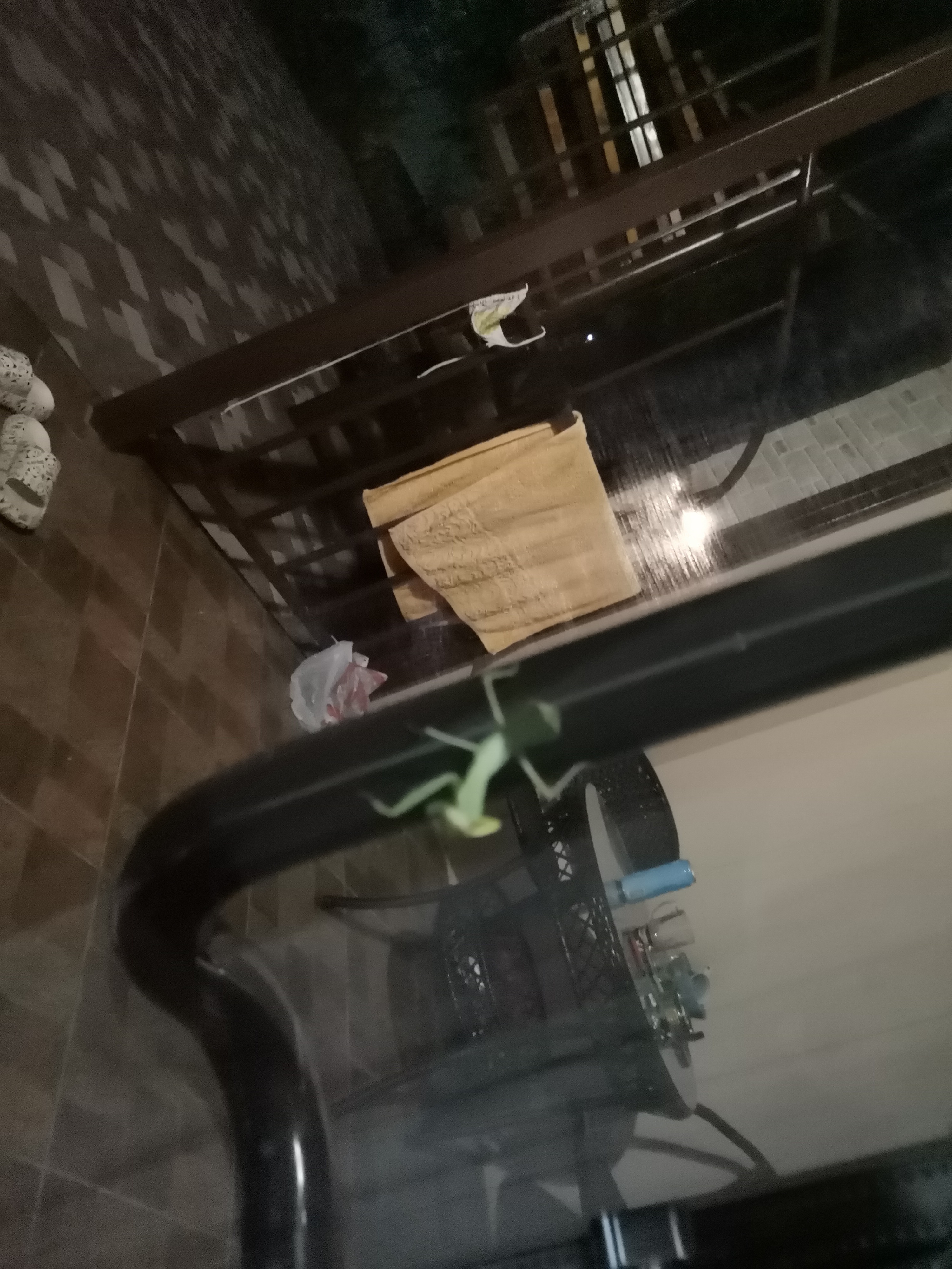 Фото Райский уголок на море