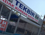 Tekbir Adak (İstanbul, Eski Edirne Asfalti Avenue, 914), intensive animal farming