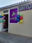 Ninel (ulitsa Koshevogo, 19Г) ، محل زهور