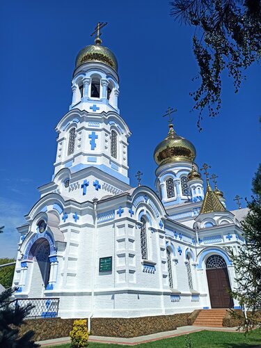 Үлкен қара жамбас суреттері