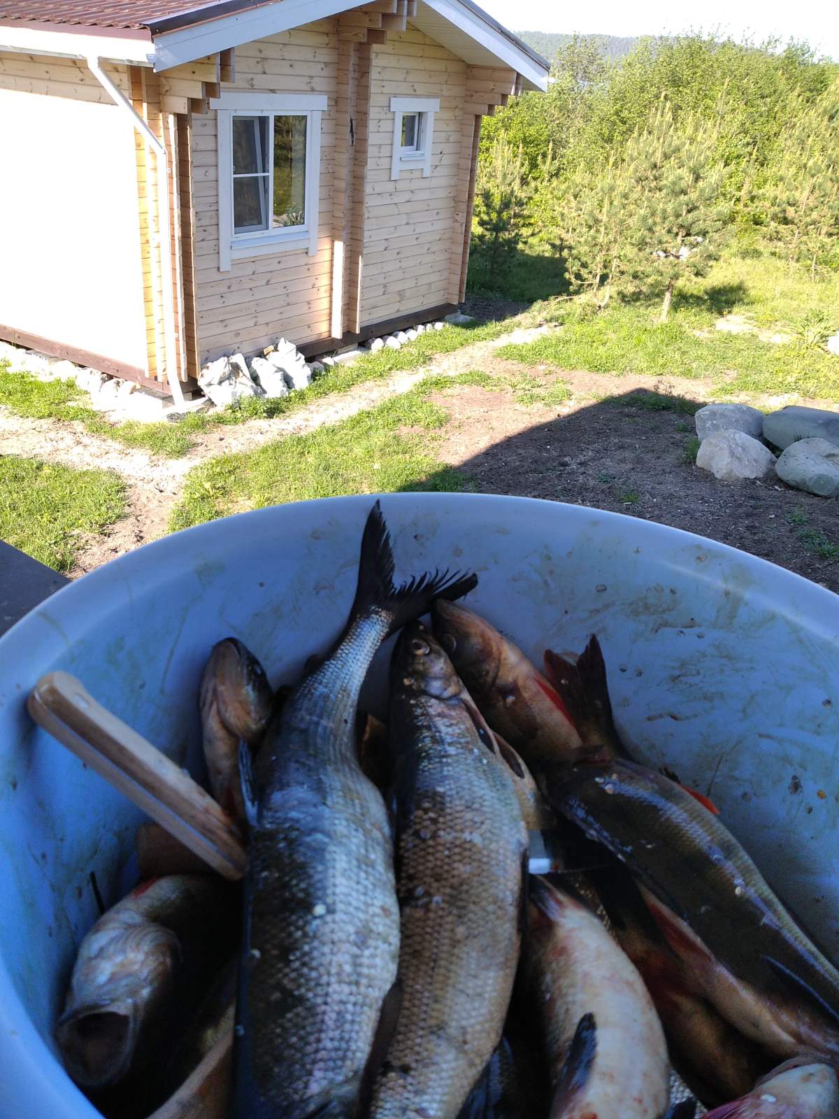 Фото Дом для отпуска Маслозеро