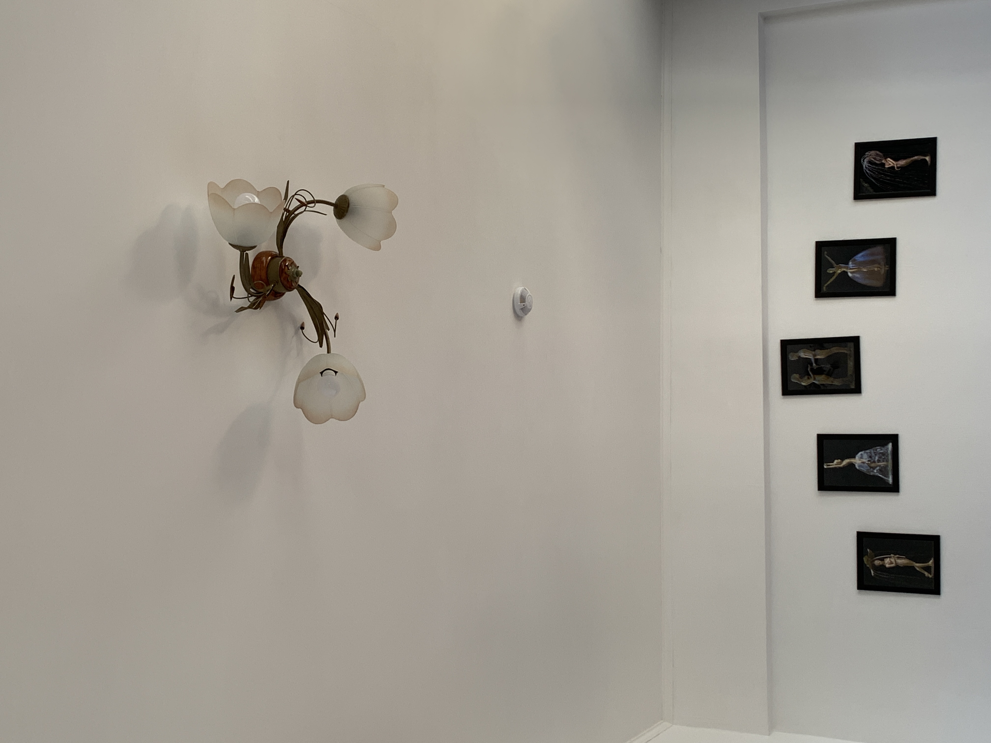 Фото Адмирал Ялта